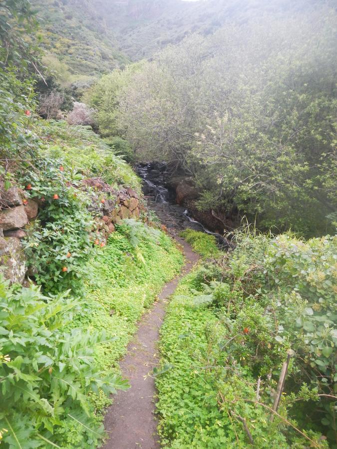 El Bailadero Albergue Montes De Anaga מראה חיצוני תמונה
