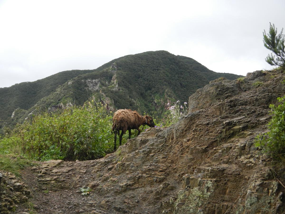 El Bailadero Albergue Montes De Anaga מראה חיצוני תמונה